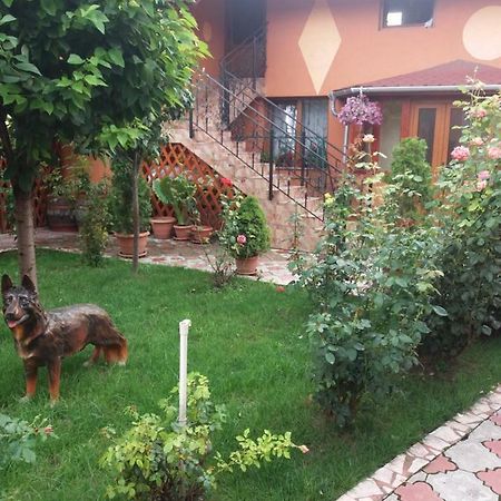 Olimpia Apartments Άλμπα Ιούλια Εξωτερικό φωτογραφία