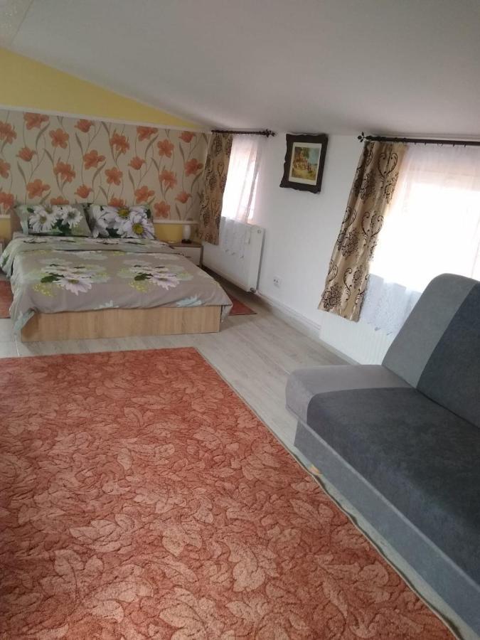 Olimpia Apartments Άλμπα Ιούλια Εξωτερικό φωτογραφία