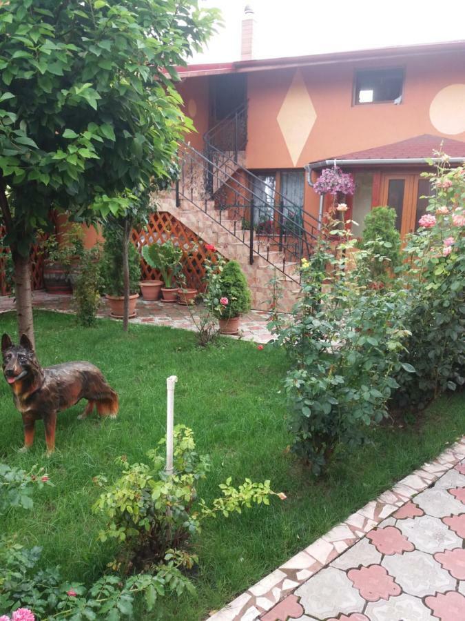 Olimpia Apartments Άλμπα Ιούλια Εξωτερικό φωτογραφία