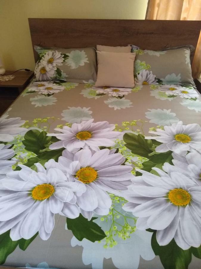 Olimpia Apartments Άλμπα Ιούλια Εξωτερικό φωτογραφία