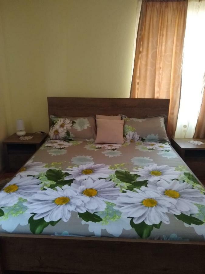 Olimpia Apartments Άλμπα Ιούλια Εξωτερικό φωτογραφία